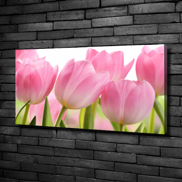 Foto canvas Roze tulpen