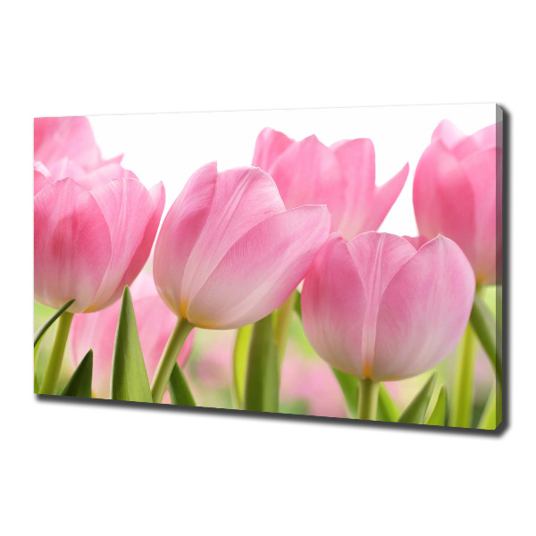 Foto canvas Roze tulpen