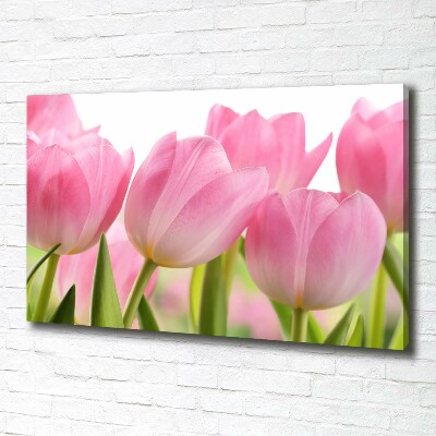 Foto canvas Roze tulpen