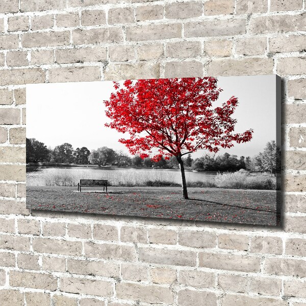 Canvas foto Rode boom