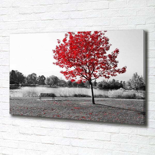 Canvas foto Rode boom