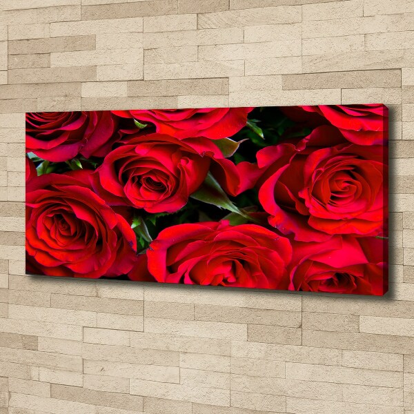 Foto op canvas Rode rozen