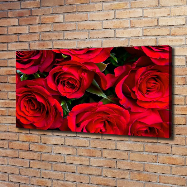 Foto op canvas Rode rozen