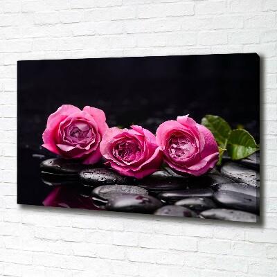Canvas foto Roze rozen