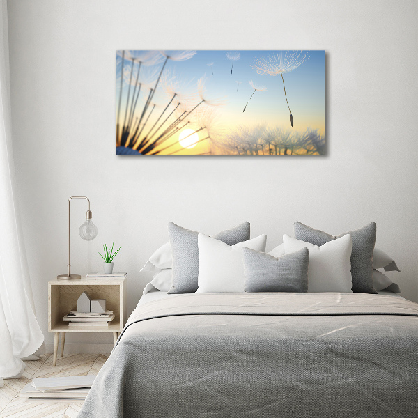 Foto canvas Paardenbloemzaden