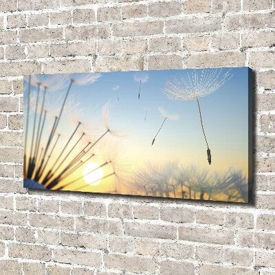 Foto canvas Paardenbloemzaden