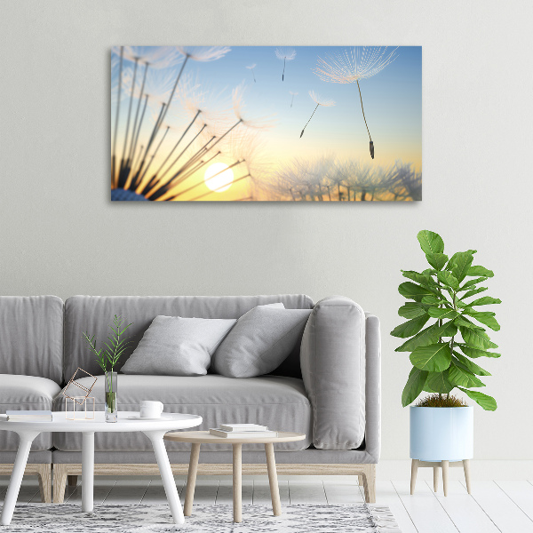 Foto canvas Paardenbloemzaden