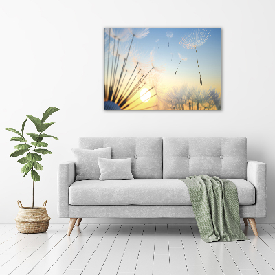 Foto canvas Paardenbloemzaden