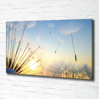 Foto canvas Paardenbloemzaden