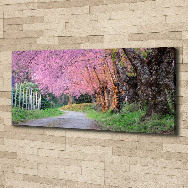 Canvas foto Kersenbloesems