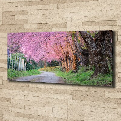 Canvas foto Kersenbloesems