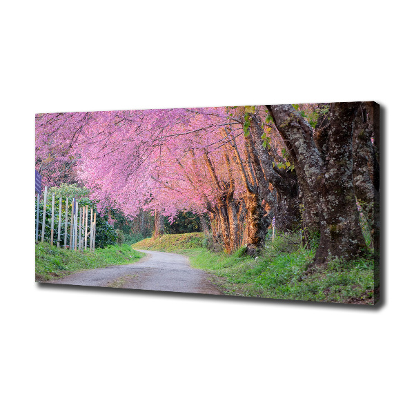 Canvas foto Kersenbloesems