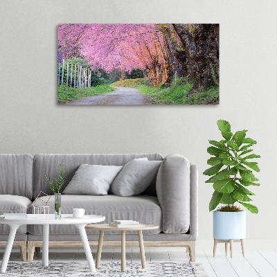 Canvas foto Kersenbloesems