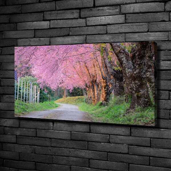 Canvas foto Kersenbloesems