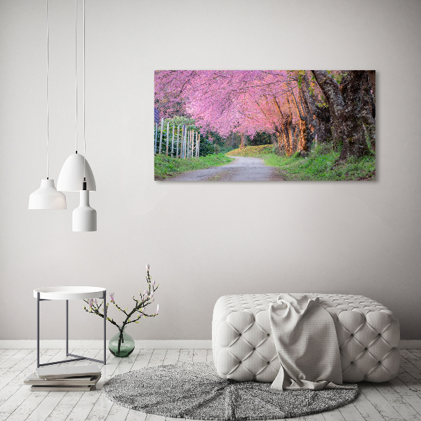 Canvas foto Kersenbloesems