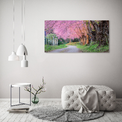 Canvas foto Kersenbloesems