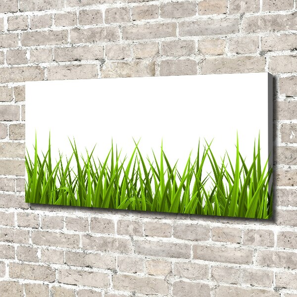 Canvas foto Gras