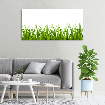 Canvas foto Gras