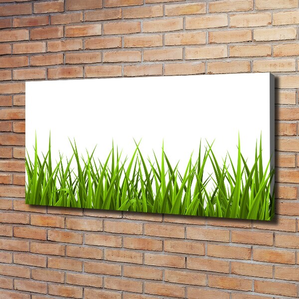 Canvas foto Gras