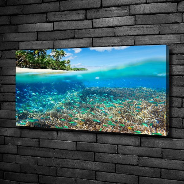 Canvas schilderij Koraalrif