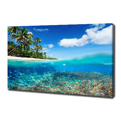 Canvas schilderij Koraalrif