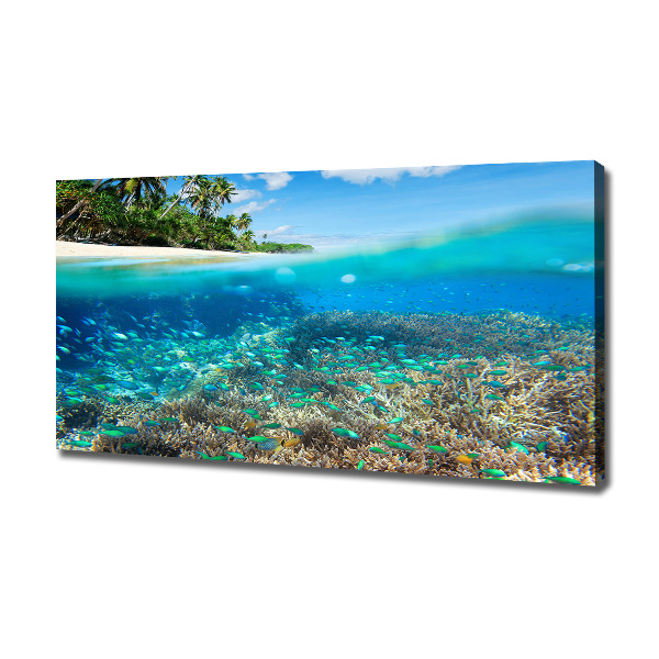 Canvas schilderij Koraalrif