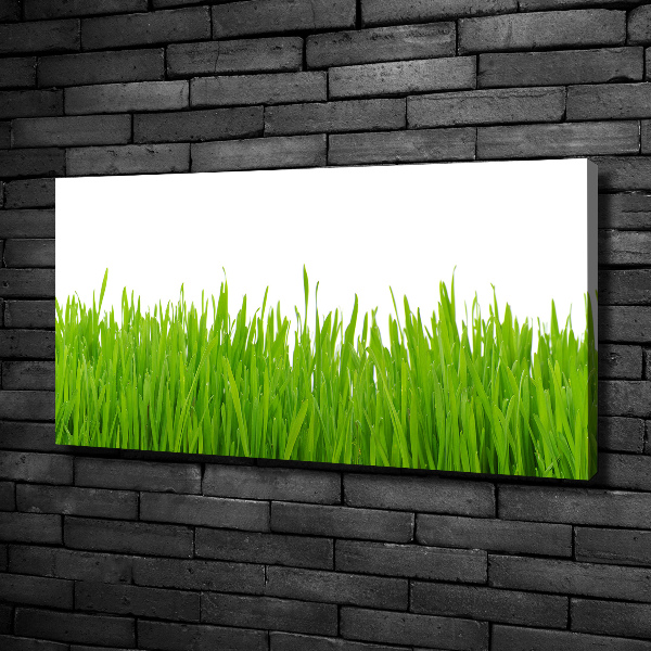 Schilderij op canvas Gras