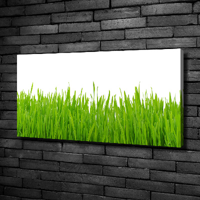 Schilderij op canvas Gras