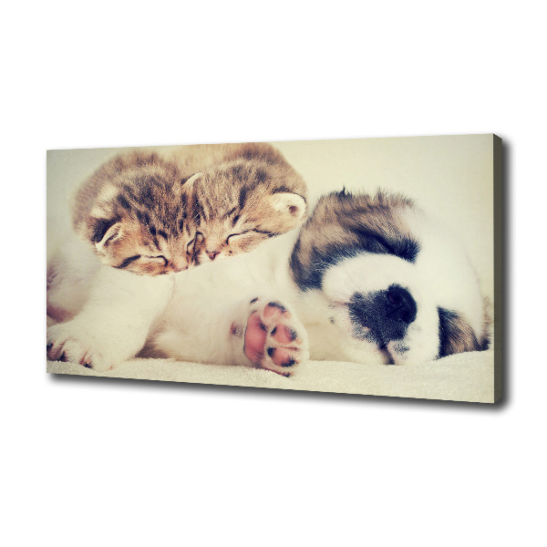 Canvas schilderij Twee katten en een hond