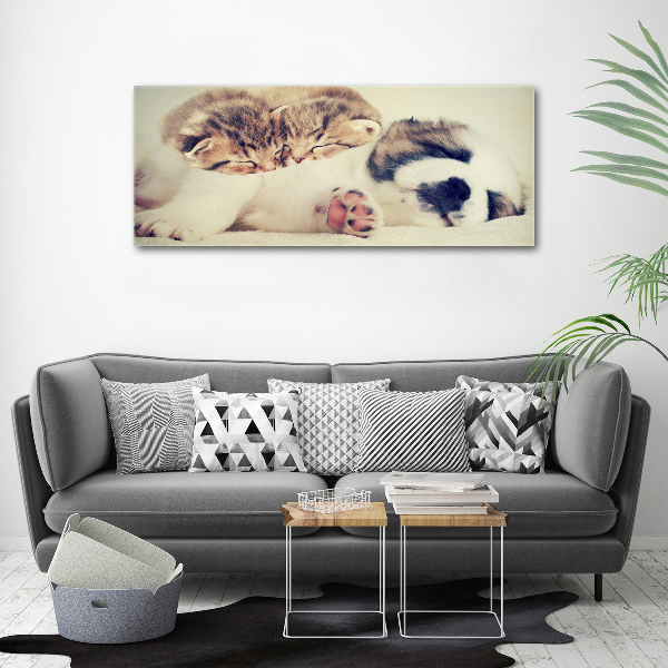 Canvas schilderij Twee katten en een hond