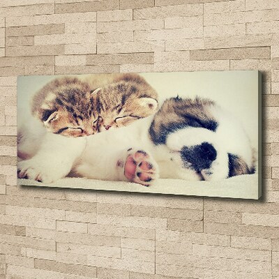 Canvas schilderij Twee katten en een hond