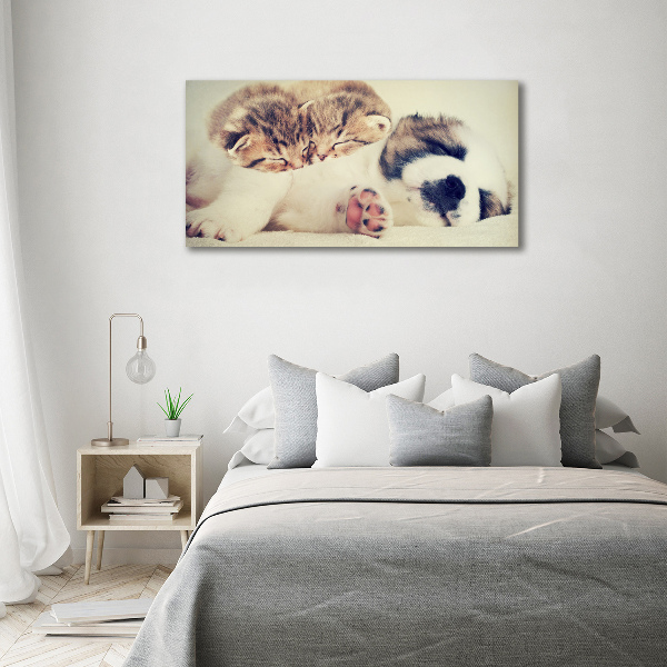 Canvas schilderij Twee katten en een hond