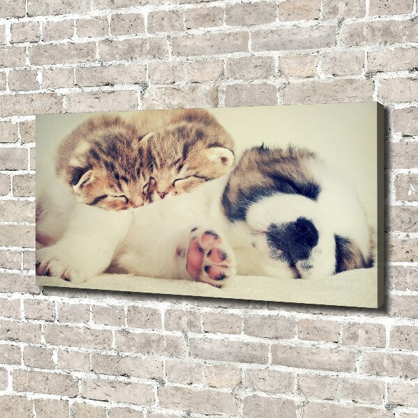 Canvas schilderij Twee katten en een hond
