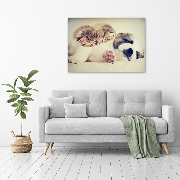 Canvas schilderij Twee katten en een hond