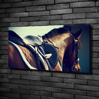 Foto obraz canvas Siodło ze strzemionami