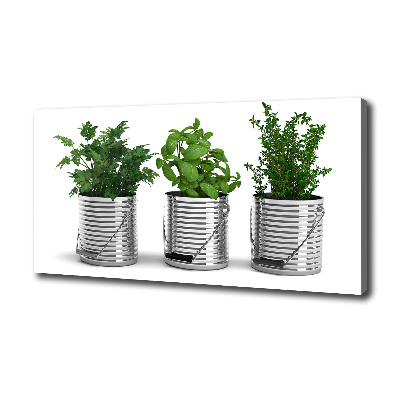 Schilderij op canvas Aromatische planten