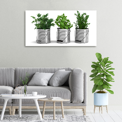 Schilderij op canvas Aromatische planten