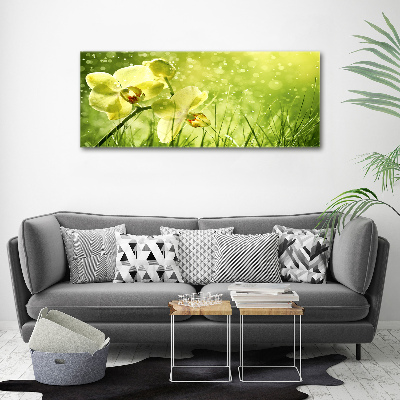 Canvas schilderij Orchidee