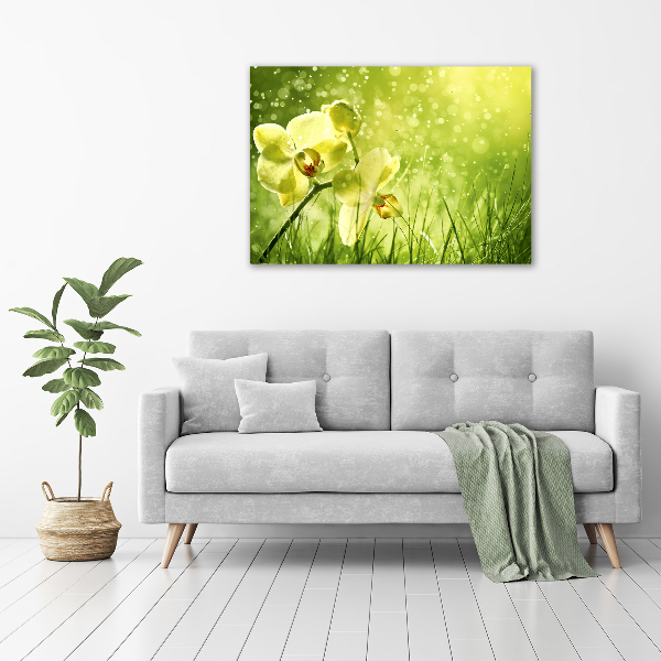 Canvas schilderij Orchidee