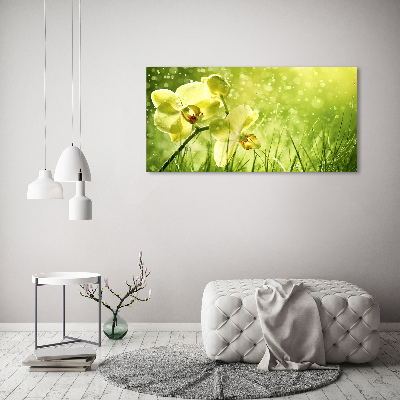 Canvas schilderij Orchidee