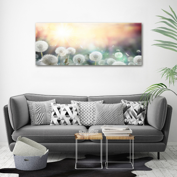 Foto canvas Paardenbloemenveld