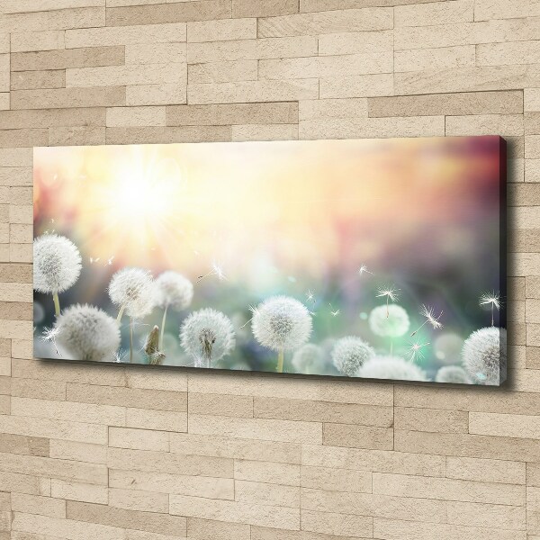 Foto canvas Paardenbloemenveld