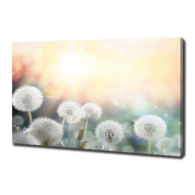 Foto canvas Paardenbloemenveld