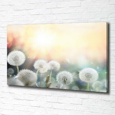 Foto canvas Paardenbloemenveld