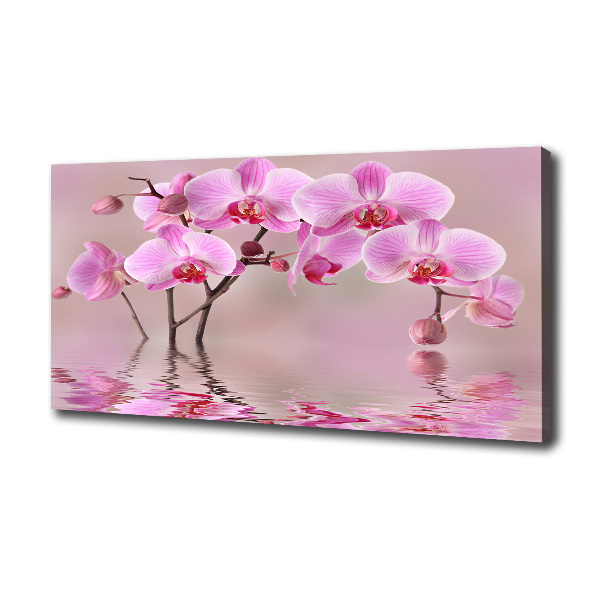 Canvas foto Roze orchidee