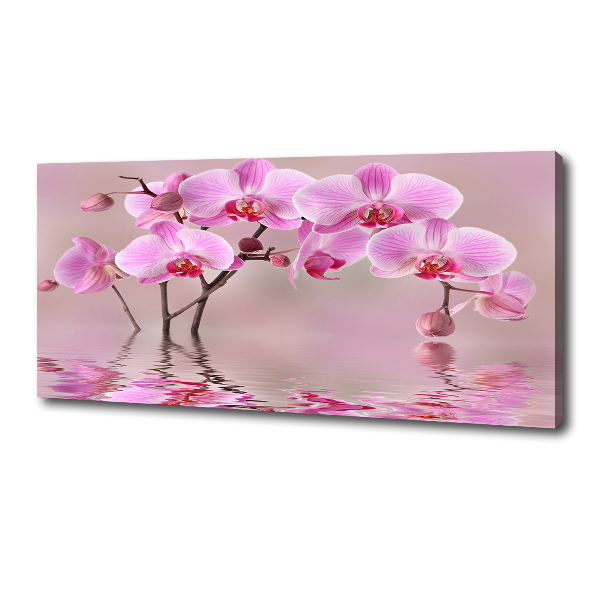 Canvas foto Roze orchidee