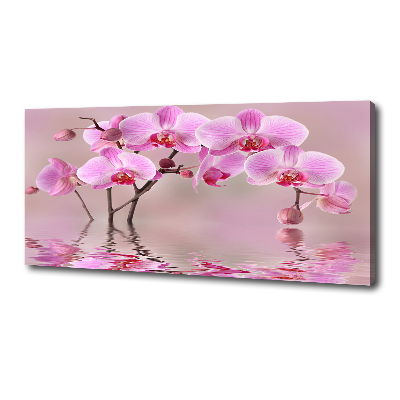 Canvas foto Roze orchidee