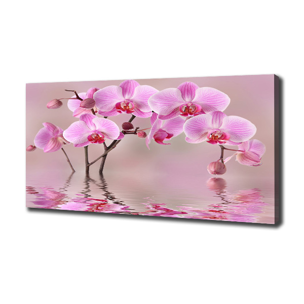Canvas foto Roze orchidee