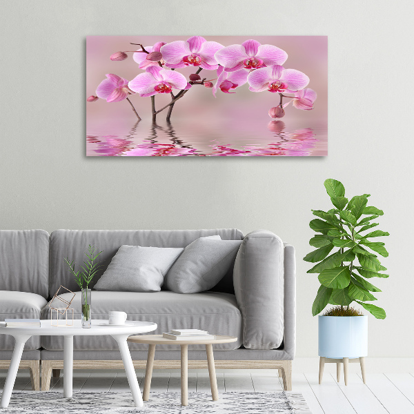 Canvas foto Roze orchidee