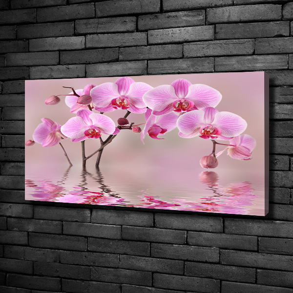 Canvas foto Roze orchidee